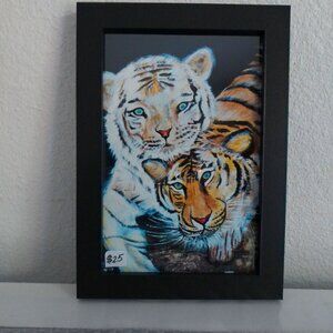 A couple of Tiger 4"x6" within a black wood Frame, lovely, colorful